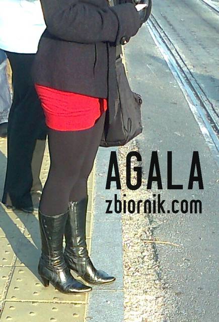 Zdjęcie2036l.jpg - AGALA
