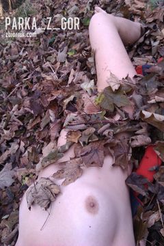 Ciepły kocyk z listków :)