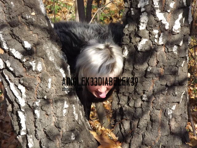 oj.. tak wypiescić mysie :) - aniolek33diabelek39