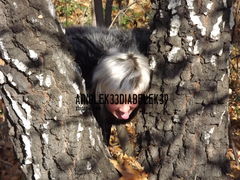 oj.. tak wypiescić mysie :)