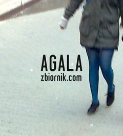 Zdjęcie2126kol.jpg