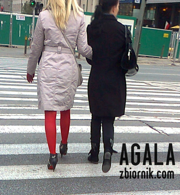 Zdjęcie2123kol.jpg - AGALA