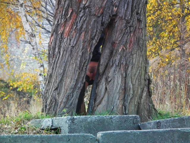 a ty w którą dzurę zajrzysz ? - ada77