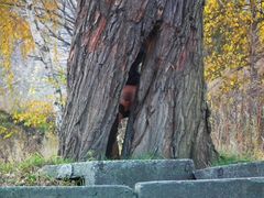 a ty w którą dzurę zajrzysz ?