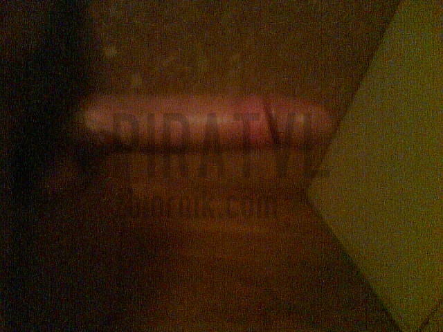 19.list.2011r.jpg - Piratvl