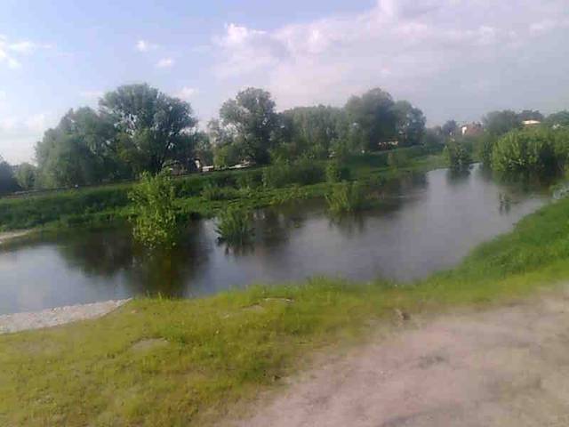 Zdjęcie0151.jpg - lilowesk