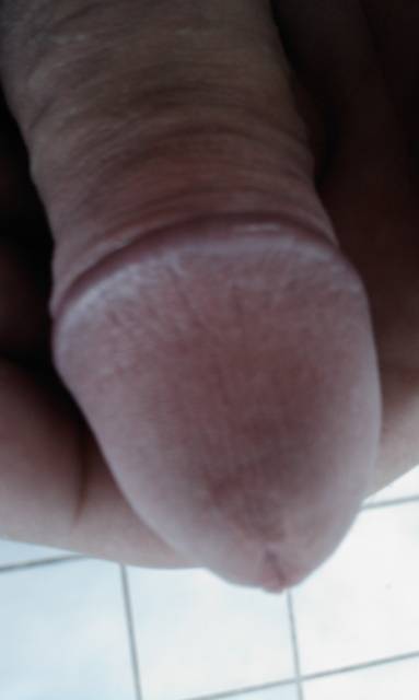 IMAG0152.1.jpg - ny39
