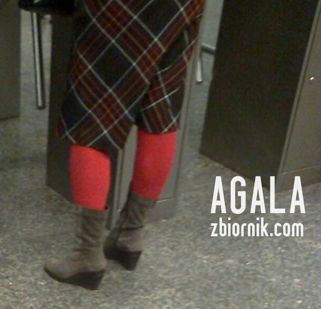 Zdjęcie2616kol.jpg - AGALA