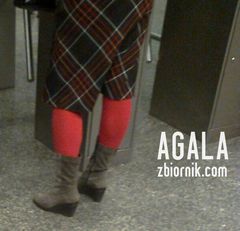Zdjęcie2616kol.jpg