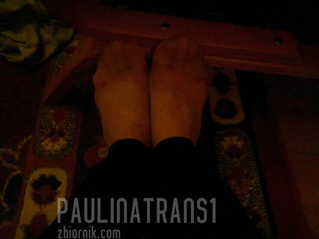 zdjęcie0088.jpg - paulinatrans1