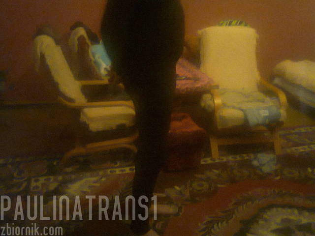 zdjęcie0083.jpg - paulinatrans1