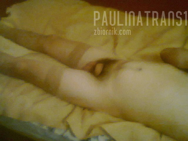 zdjęcie0075.jpg - paulinatrans1