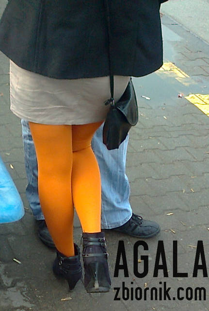 Zdjęcie2657kol.jpg - AGALA