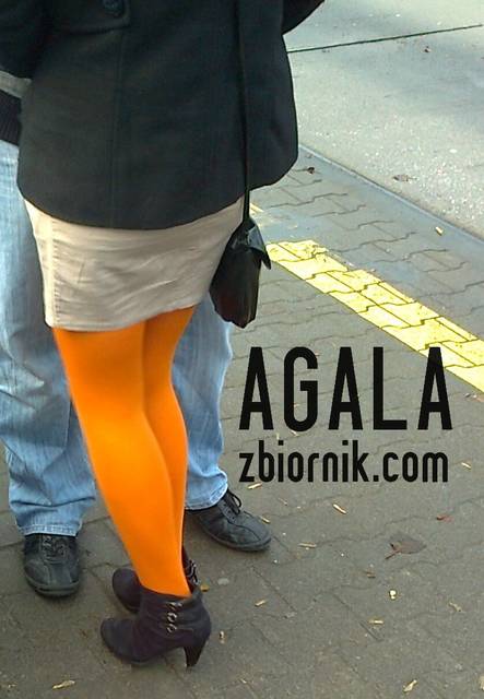 Zdjęcie2655kol.jpg - AGALA