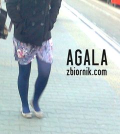Zdjęcie2670kol.jpg