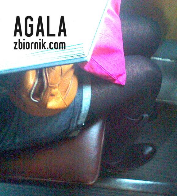Zdjęcie2687cz.jpg - AGALA