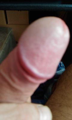 IMAG0182.1.jpg
