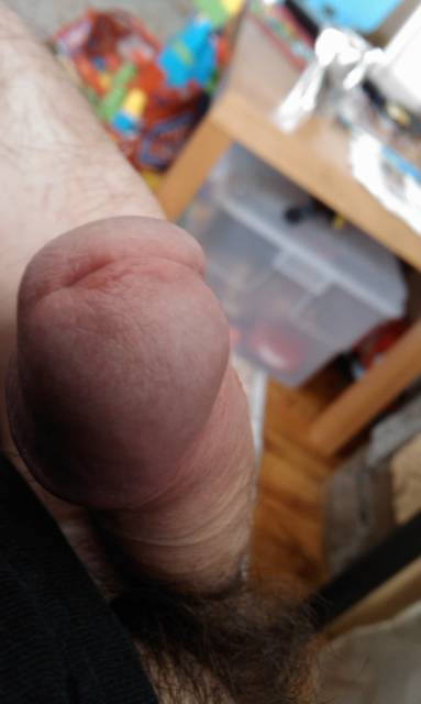 IMAG0191.1.jpg - ny39