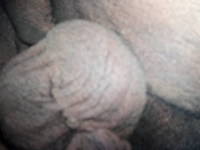 worczek na drobne - Kamilia