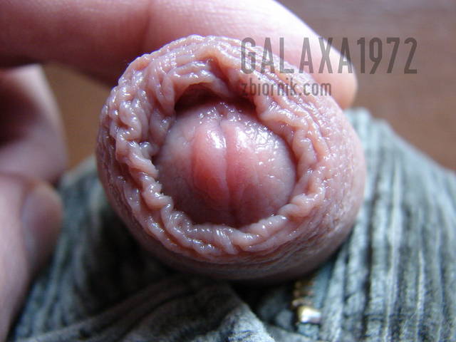 znalazlem ślimaka - galaxa1972