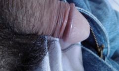 IMAG0211.1.jpg