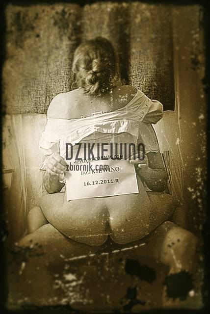 DZIK.JPG - dzikiewino