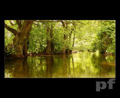 POPŁYŃ ZE MNĄ ...