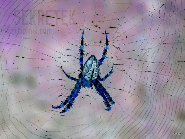 negatywny.jpg - sekretek