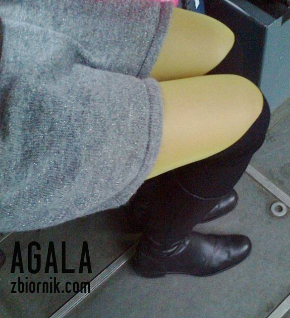 Zdjęcie3084kol.jpg - AGALA