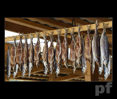 POŚWIĄTECZNA WYPRZEDAŻ