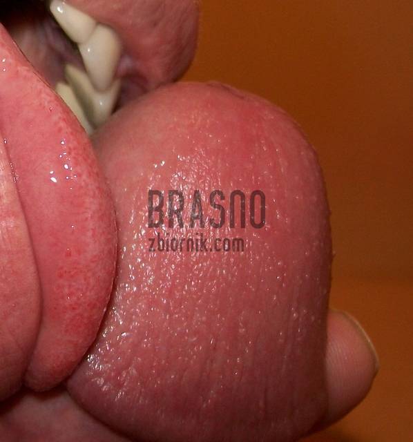 brasno52.jpg - brasno