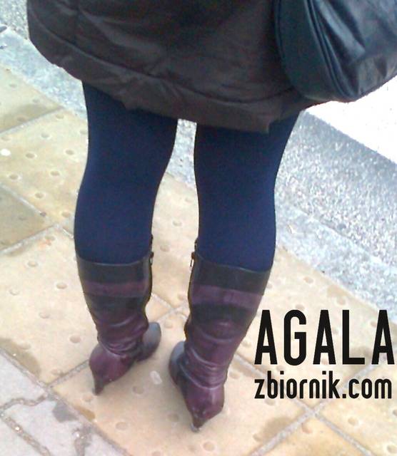 Zdjęcie3260kol.jpg - AGALA