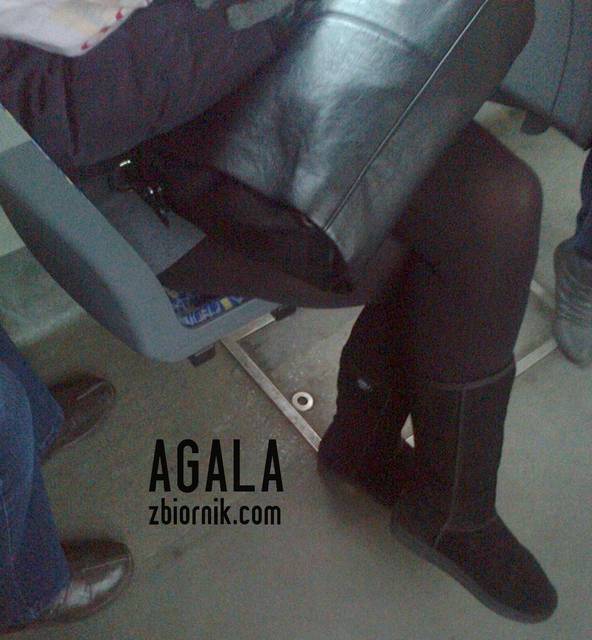 Zdjęcie3326L.jpg - AGALA