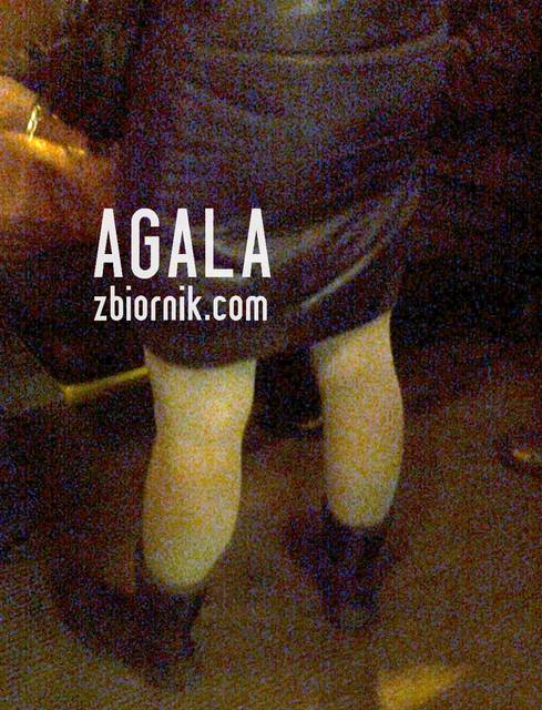 Zdjęcie3363kol.jpg - AGALA