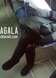 Zdjęcie3322L.jpg