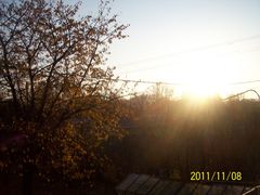 Obraz 283.jpg