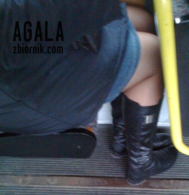 Zdjęcie3409kl.jpg - AGALA