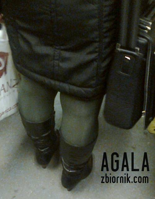 Zdjęcie3428kol.jpg - AGALA