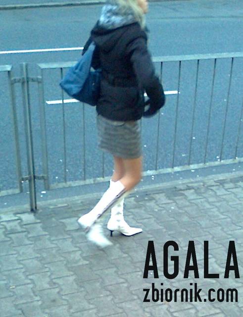 Zdjęcie3446kl.jpg - AGALA