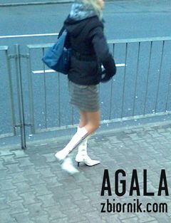 Zdjęcie3446kl.jpg