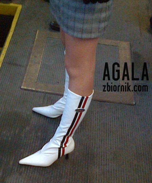 Zdjęcie3443kl.jpg - AGALA