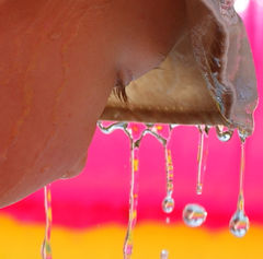 deszcz w słoneczną pogodę:)