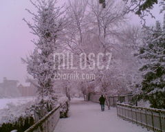 zima w ..........