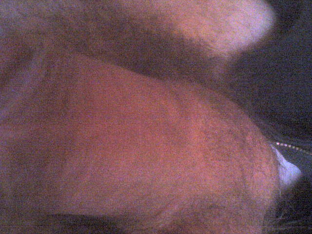DSC00004.JPG - denit