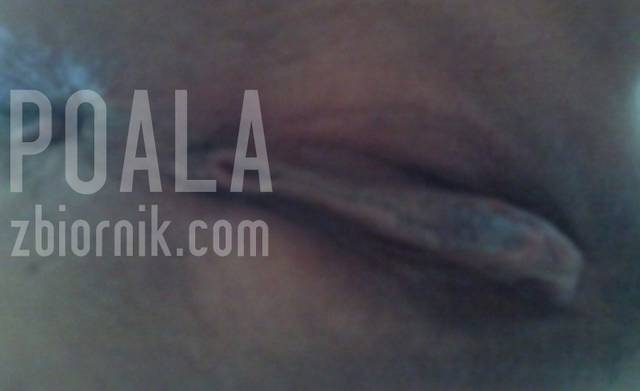 SNC00099.jpg - poala