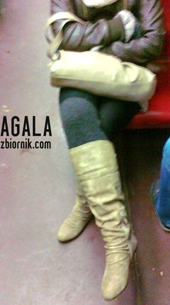 08012012394cz.jpg