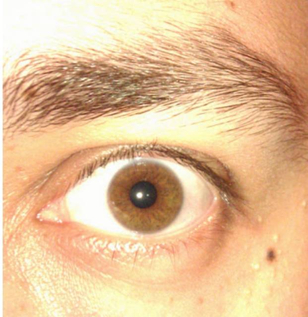 Eye of the Tiger ;) - pan_twardowski
