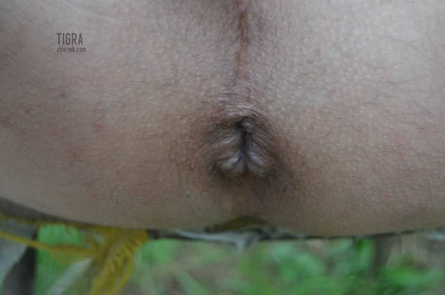 DSC_0086.jpg - tigra