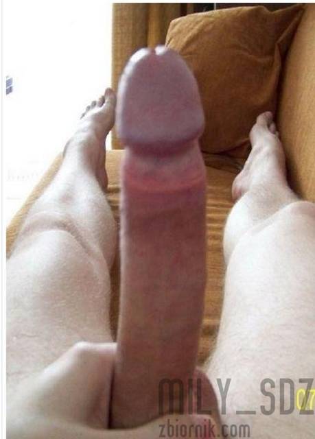 3333.JPG - mily_sdz