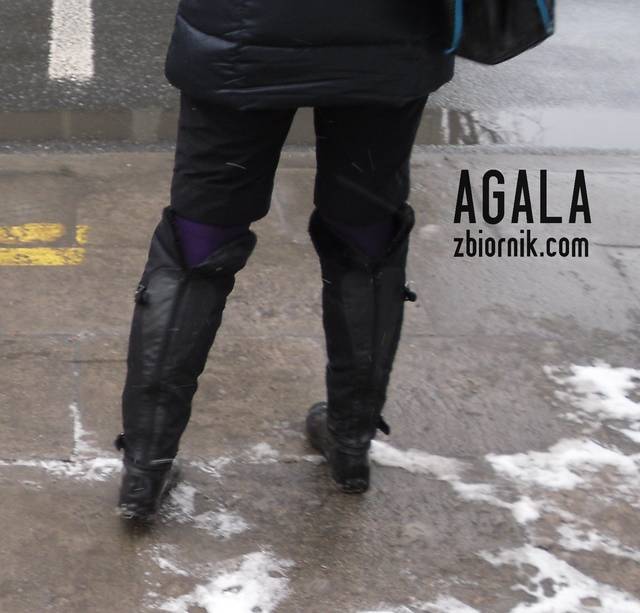 SDC10319kol.jpg - AGALA